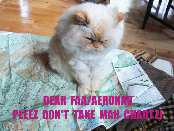 Pleez don't take mah charts!